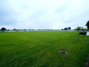 Large Playground